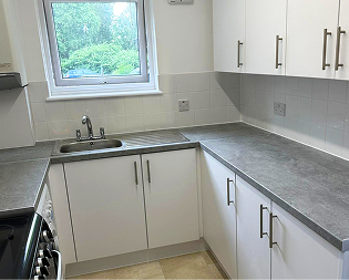 Kitchen and Bathroom 